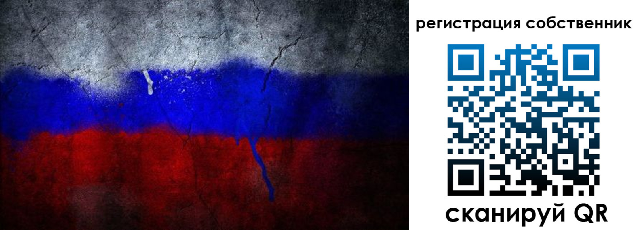 временная регистрация 2025 в Димитровграде