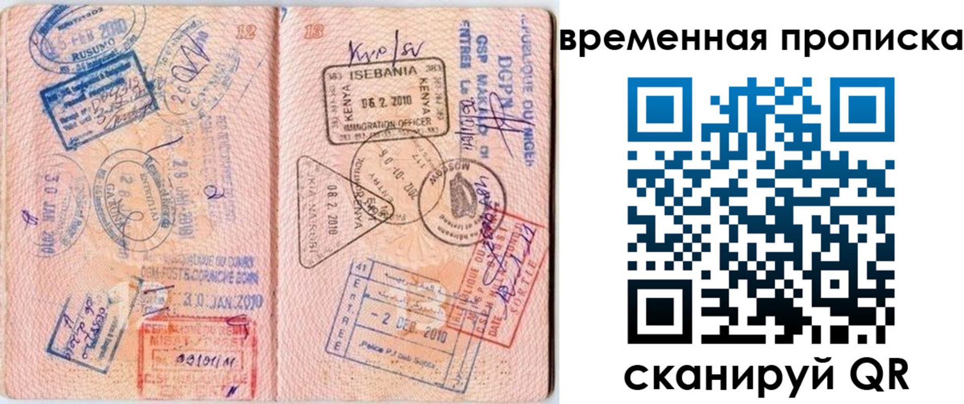 где прописаться в Димитровграде