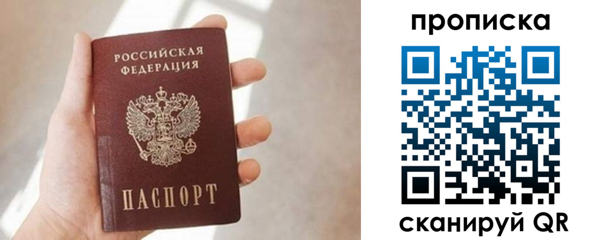 миграционный учет в Димитровграде